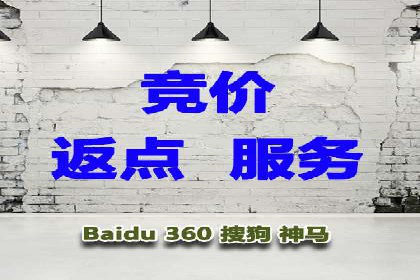 解析SEM竞价代运营公司的效果：ROI大幅提升的秘诀